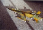 Republic F-105F Thunderchief Fly Model 88 07.jpg

74,48 KB 
793 x 566 
19.02.2005
